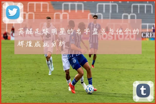 苏醒足球明星的名字盘点与他们的辉煌成就分析
