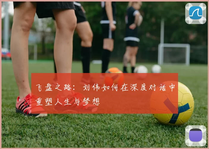 飞盘之路：刘伟如何在深度对话中重塑人生与梦想