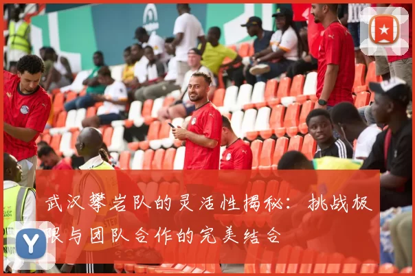 武汉攀岩队的灵活性揭秘：挑战极限与团队合作的完美结合