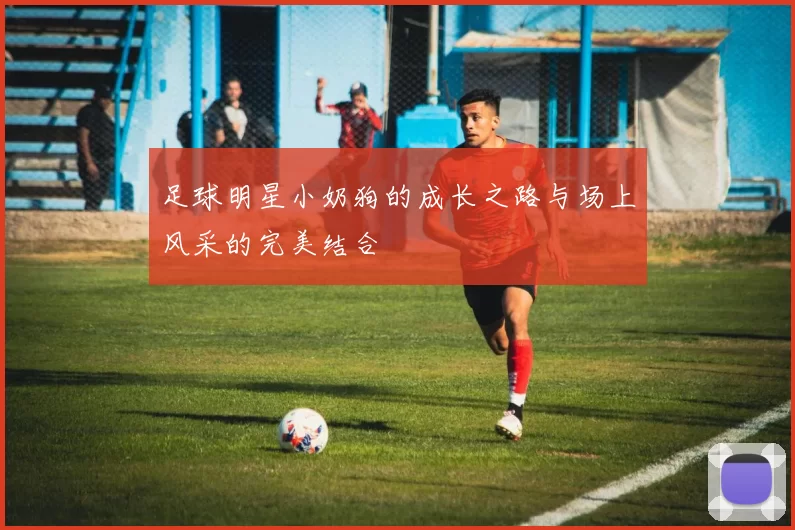 足球明星小奶狗的成长之路与场上风采的完美结合