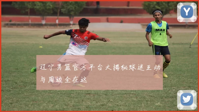 辽宁男篮官方平台大揭秘球迷互动与周边全在这