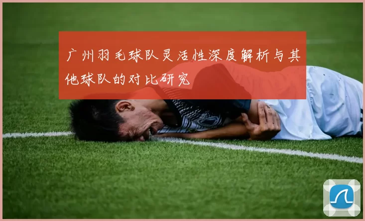 广州羽毛球队灵活性深度解析与其他球队的对比研究