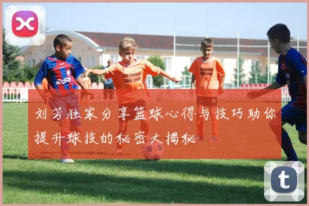 刘芳独家分享篮球心得与技巧助你提升球技的秘密大揭秘
