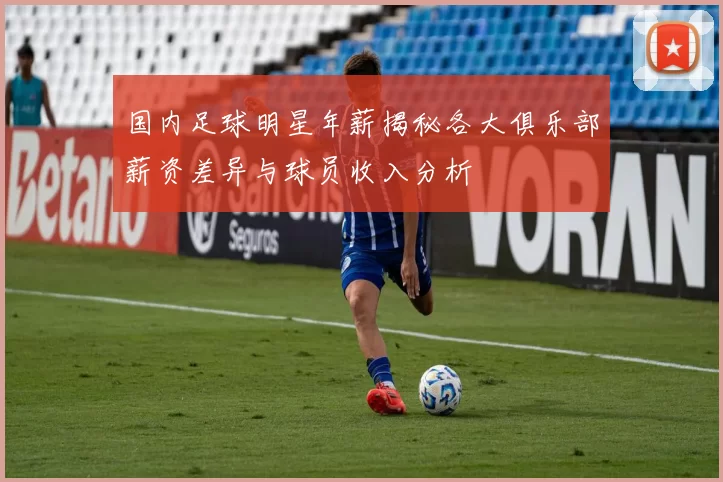 国内足球明星年薪揭秘各大俱乐部薪资差异与球员收入分析