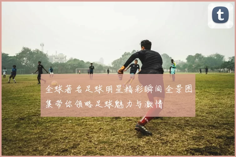 全球著名足球明星精彩瞬间全景图集带你领略足球魅力与激情
