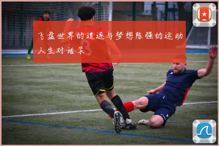 飞盘世界的追逐与梦想陈强的运动人生对话录