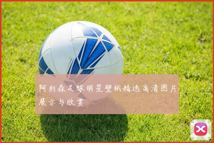 阿利森足球明星壁纸精选高清图片展示与欣赏