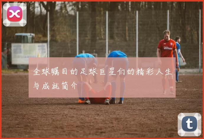 全球瞩目的足球巨星们的精彩人生与成就简介