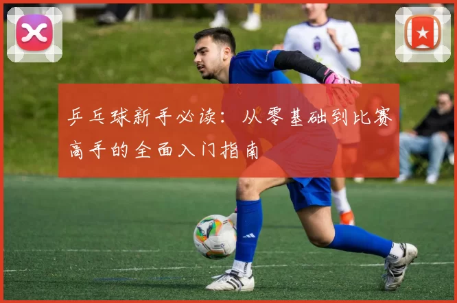 乒乓球新手必读：从零基础到比赛高手的全面入门指南