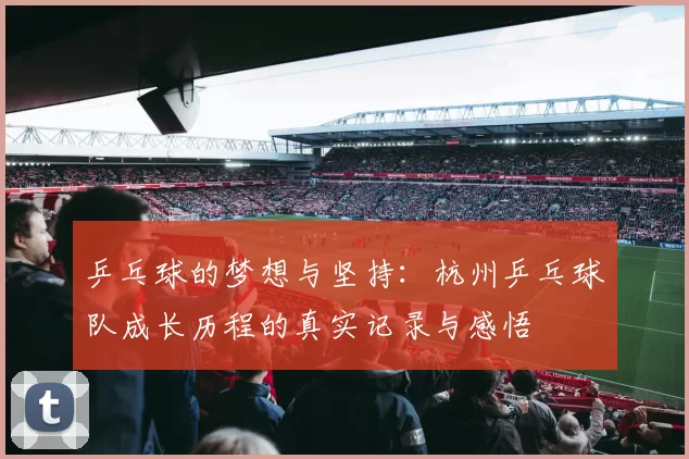 乒乓球的梦想与坚持：杭州乒乓球队成长历程的真实记录与感悟