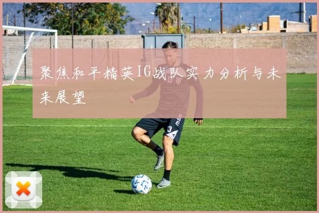 聚焦和平精英IG战队实力分析与未来展望