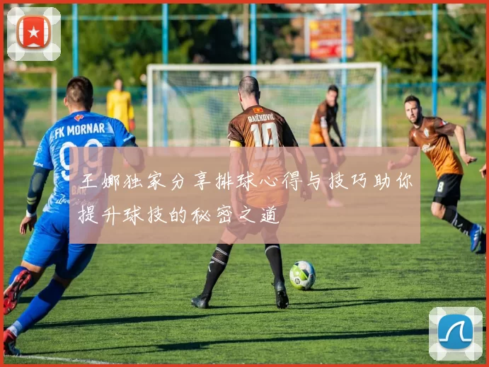 王娜独家分享排球心得与技巧助你提升球技的秘密之道