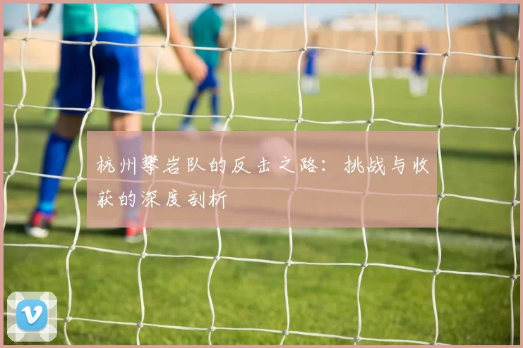 杭州攀岩队的反击之路：挑战与收获的深度剖析