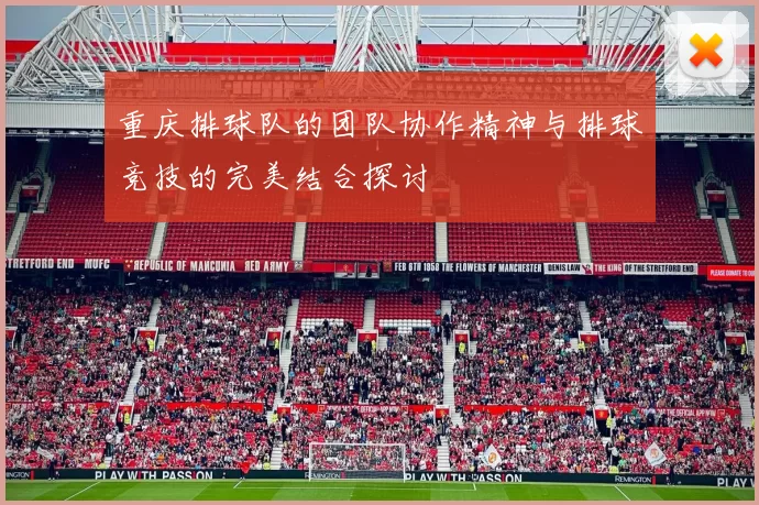 重庆排球队的团队协作精神与排球竞技的完美结合探讨