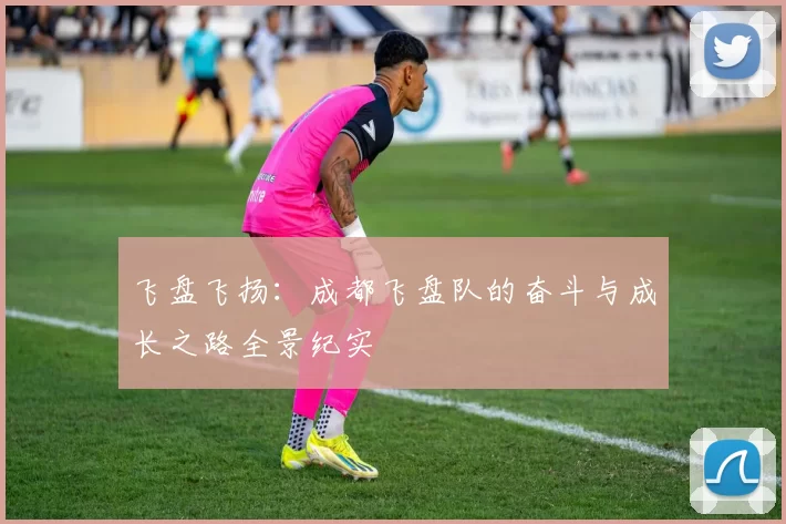 飞盘飞扬：成都飞盘队的奋斗与成长之路全景纪实