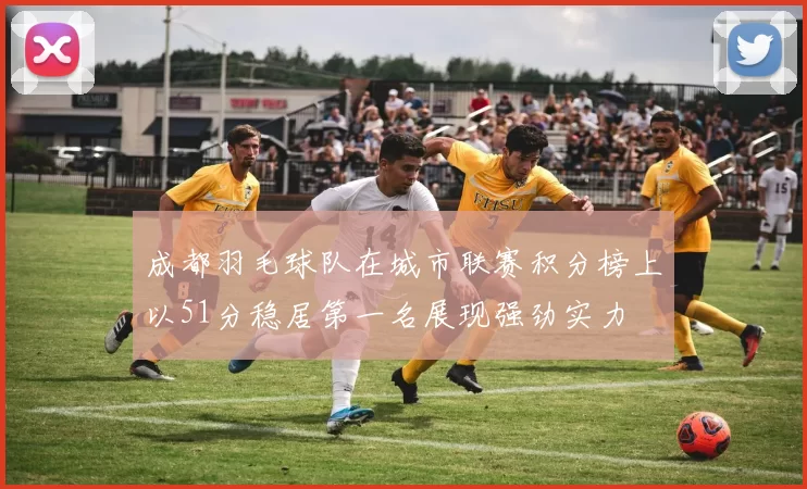 成都羽毛球队在城市联赛积分榜上以51分稳居第一名展现强劲实力