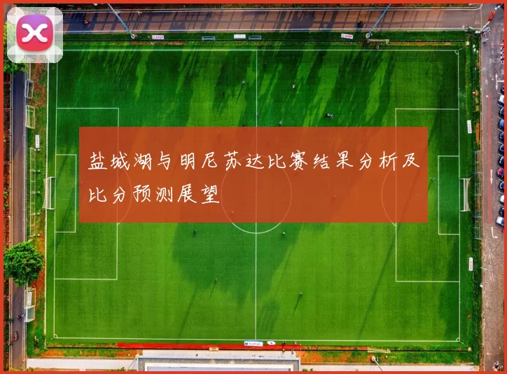 盐城湖与明尼苏达比赛结果分析及比分预测展望