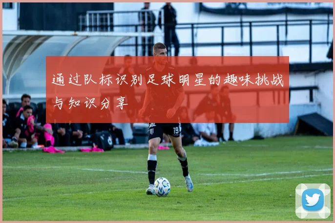 通过队标识别足球明星的趣味挑战与知识分享