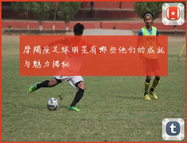 摩羯座足球明星有哪些他们的成就与魅力揭秘